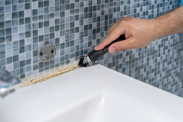 Best Home Mold Removal  in Phillipsburg, GA