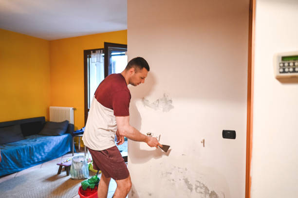 Best Mold Removal Company Near Me  in Phillipsburg, GA